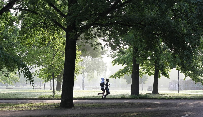 Runner on a track